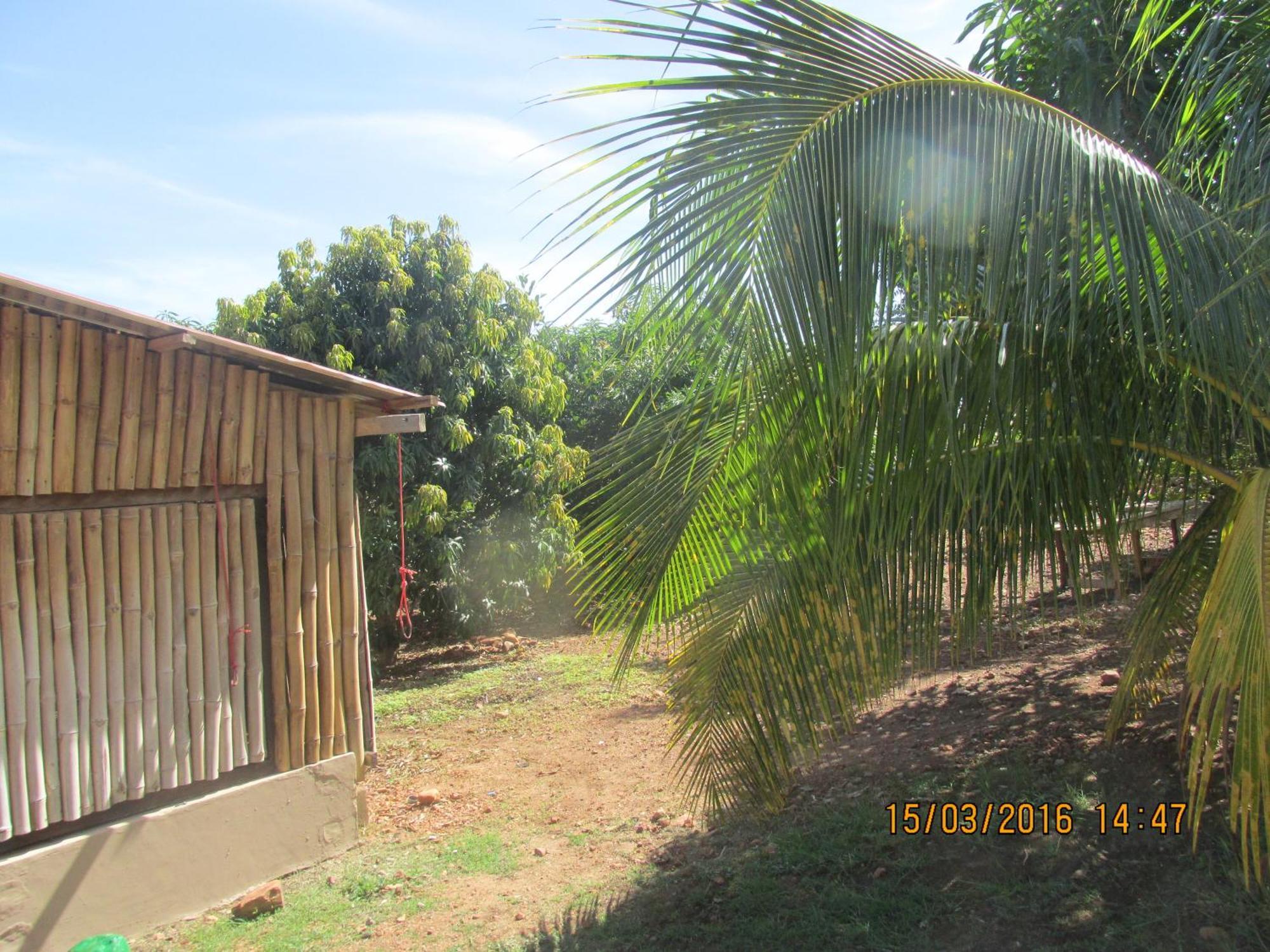 Jamaica Inn Guest House Botianaw Exterior foto